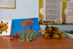 IMG-20211018-WA0046