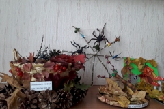 IMG-20211018-WA0066
